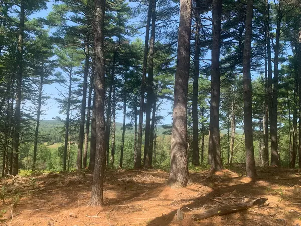 Amherst, ME 04605,M6L31 Tannery Loop RD