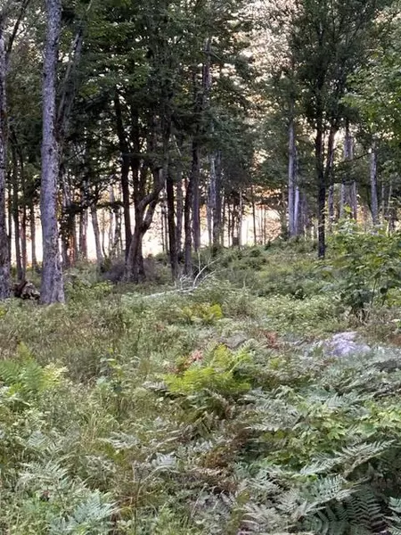 234 Estates Road, Steuben, ME 04680