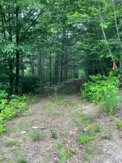 Freeport, ME 04032,0 Mustang VLY