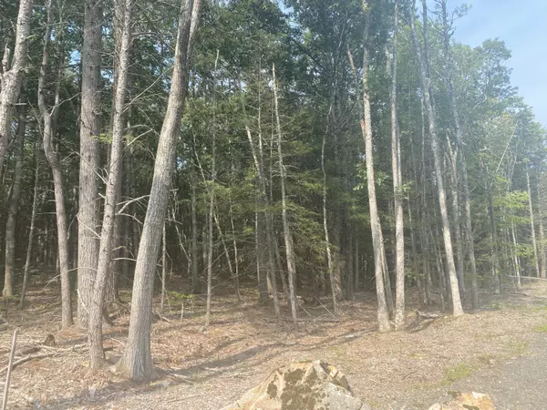 Ogunquit, ME 03907,0 Winn TRL