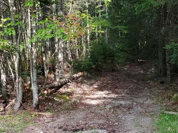 Steuben, ME 04680,310 Pigeon Hill RD