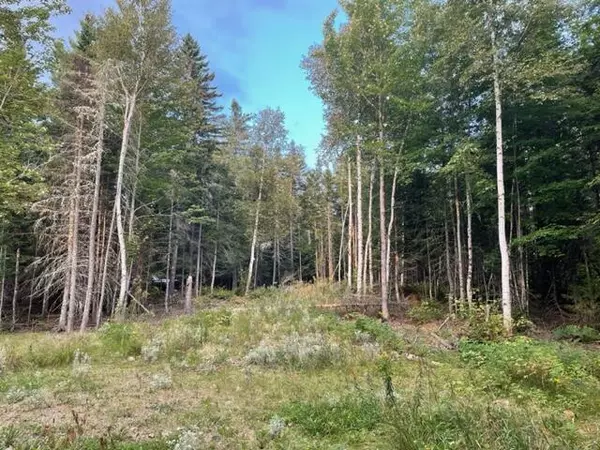 Coplin Plt, ME 04982,Lot 013 Porcupine Trail