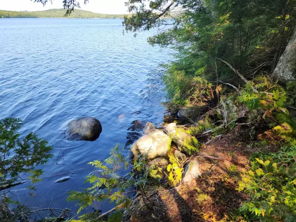 Lowell, ME 04493,Lot #2 Webb Cove DR