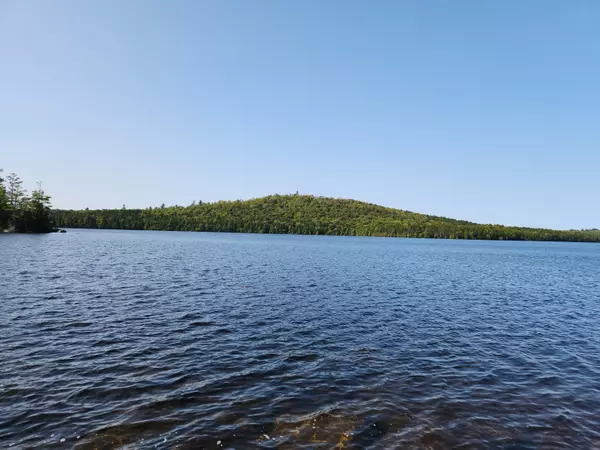 Lowell, ME 04493,Lot #2 Webb Cove DR