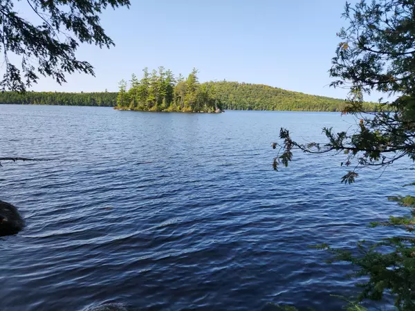 Lowell, ME 04493,Lot #2 Webb Cove DR