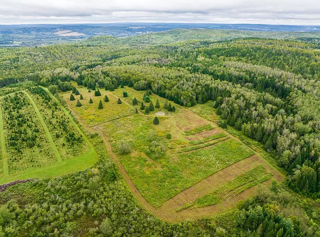 Grand Isle, ME 04746,Map 23 Lot 5 Grivois RD