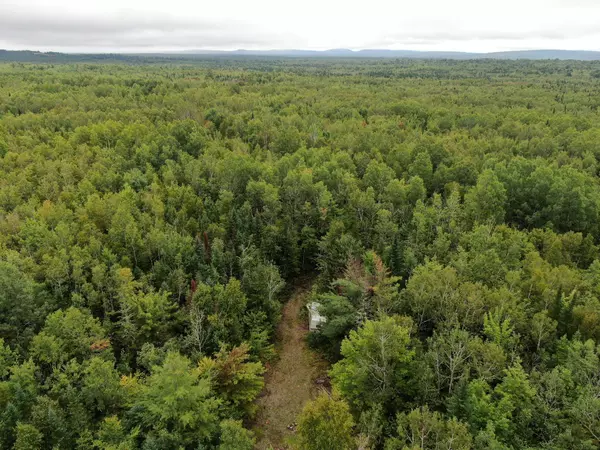 Greenbush, ME 04418,Lot26 Wolf Run TRL