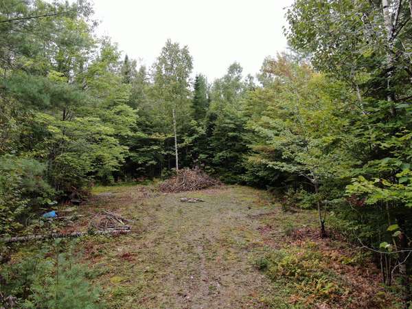 Greenbush, ME 04418,Lot26 Wolf Run TRL