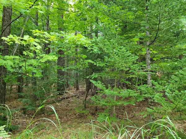 20C Smith RD, Denmark, ME 04022