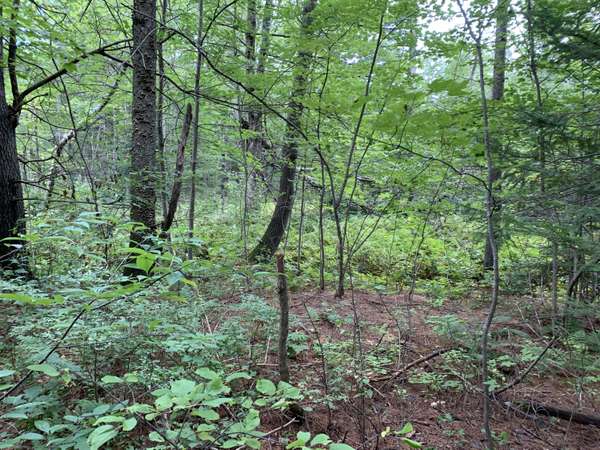 Lot 7 County RD, Livermore Falls, ME 04254