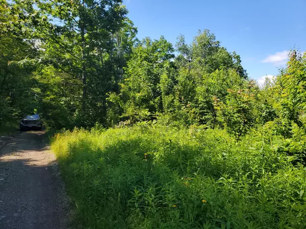 Baileyville, ME 04694,24.3 Ac Ryan RD