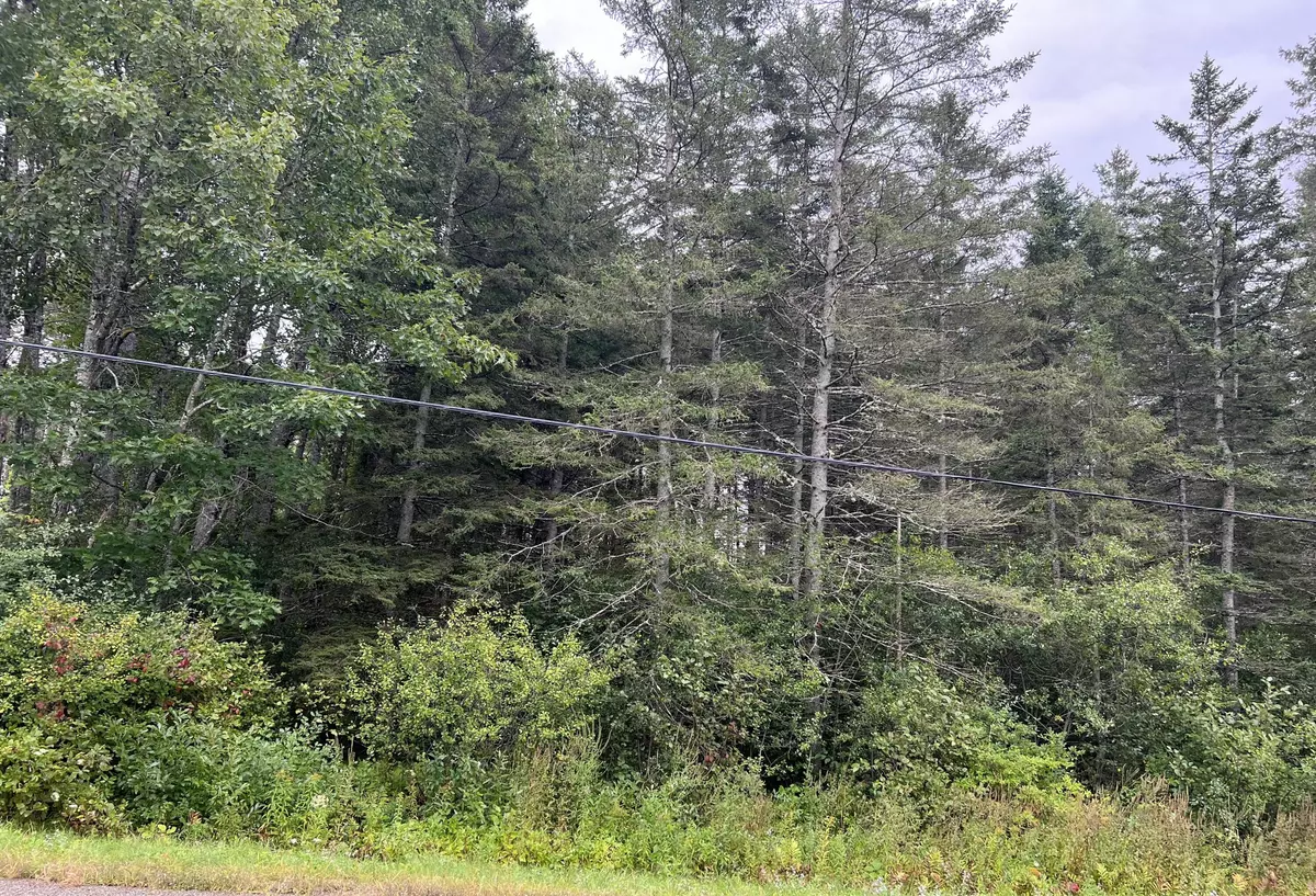 Hampden, ME 04444,Lot 48-11 Patterson RD