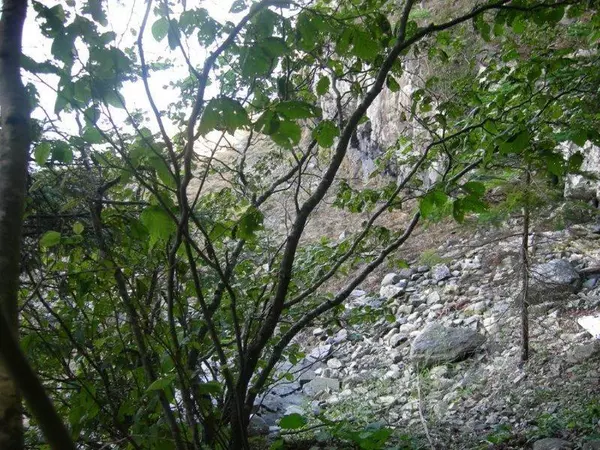 Sorrento, ME 04677,0 Bay View Ave