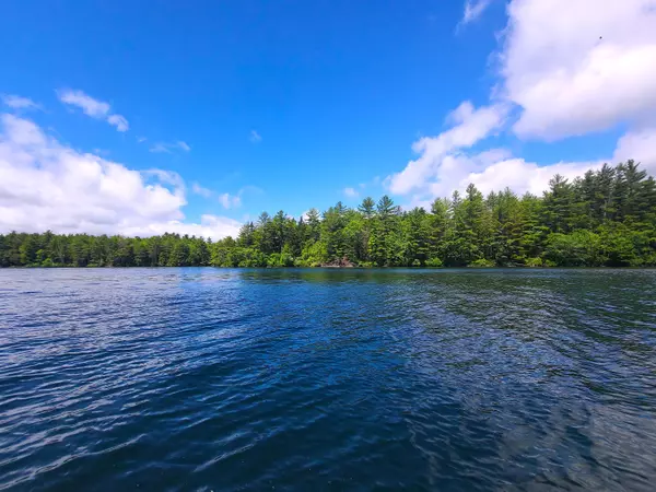 Liberty, ME 04949,01 Green IS