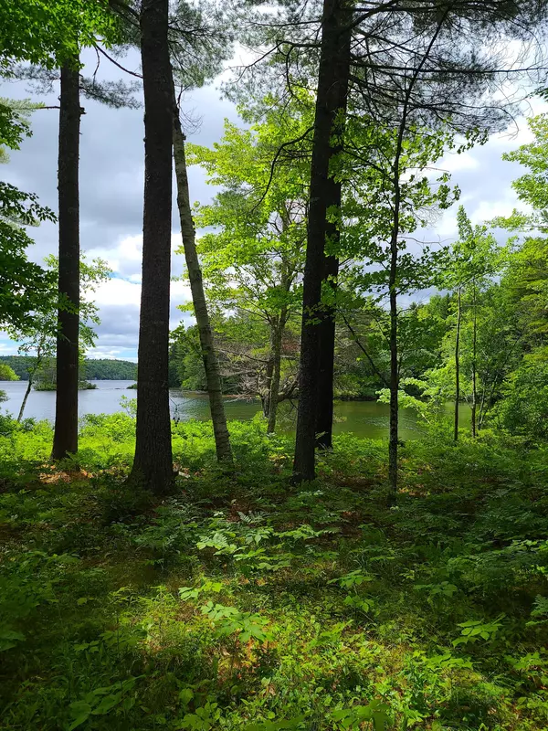 Liberty, ME 04949,01 Green IS