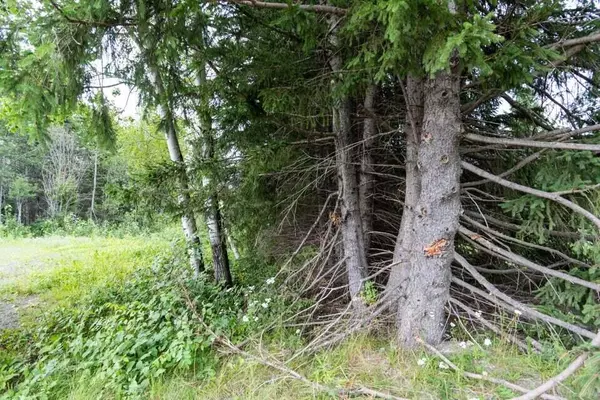 Madawaska, ME 04773,Map 22 Lots 1, 1B Fongemie RD