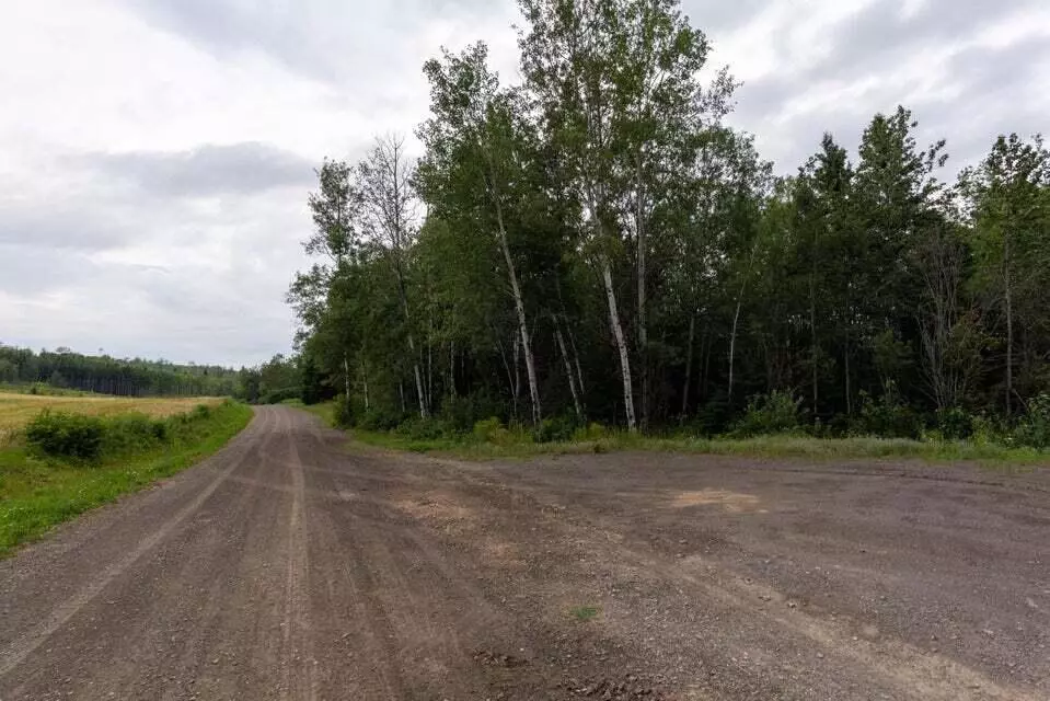 Madawaska, ME 04773,Map 22 Lots 1, 1B Fongemie RD