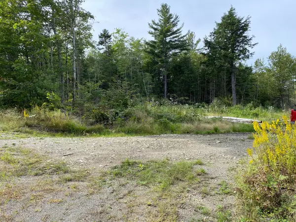 Crawford, ME 04694,128C Love Lake RD