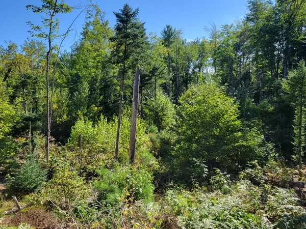 Denmark, ME 04022,20B Smith RD