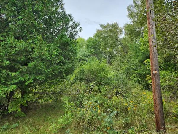 Newport, ME 04953,34 Palmer RD