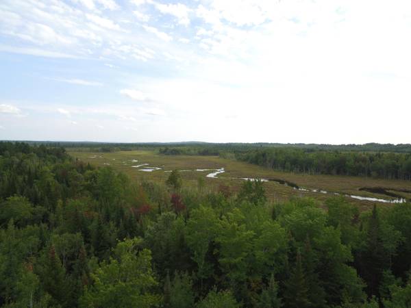 Greenbush, ME 04418,Lot 1 Stevens Brook LN