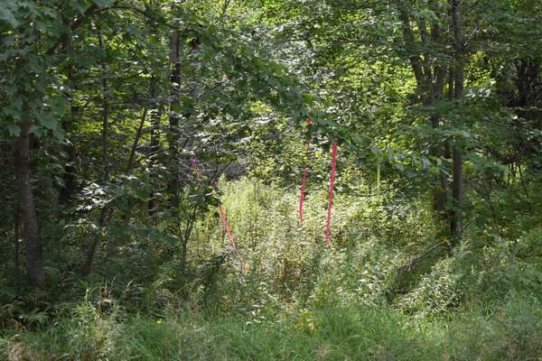 1 Pickle Ridge RD, Webster Plt, ME 04487