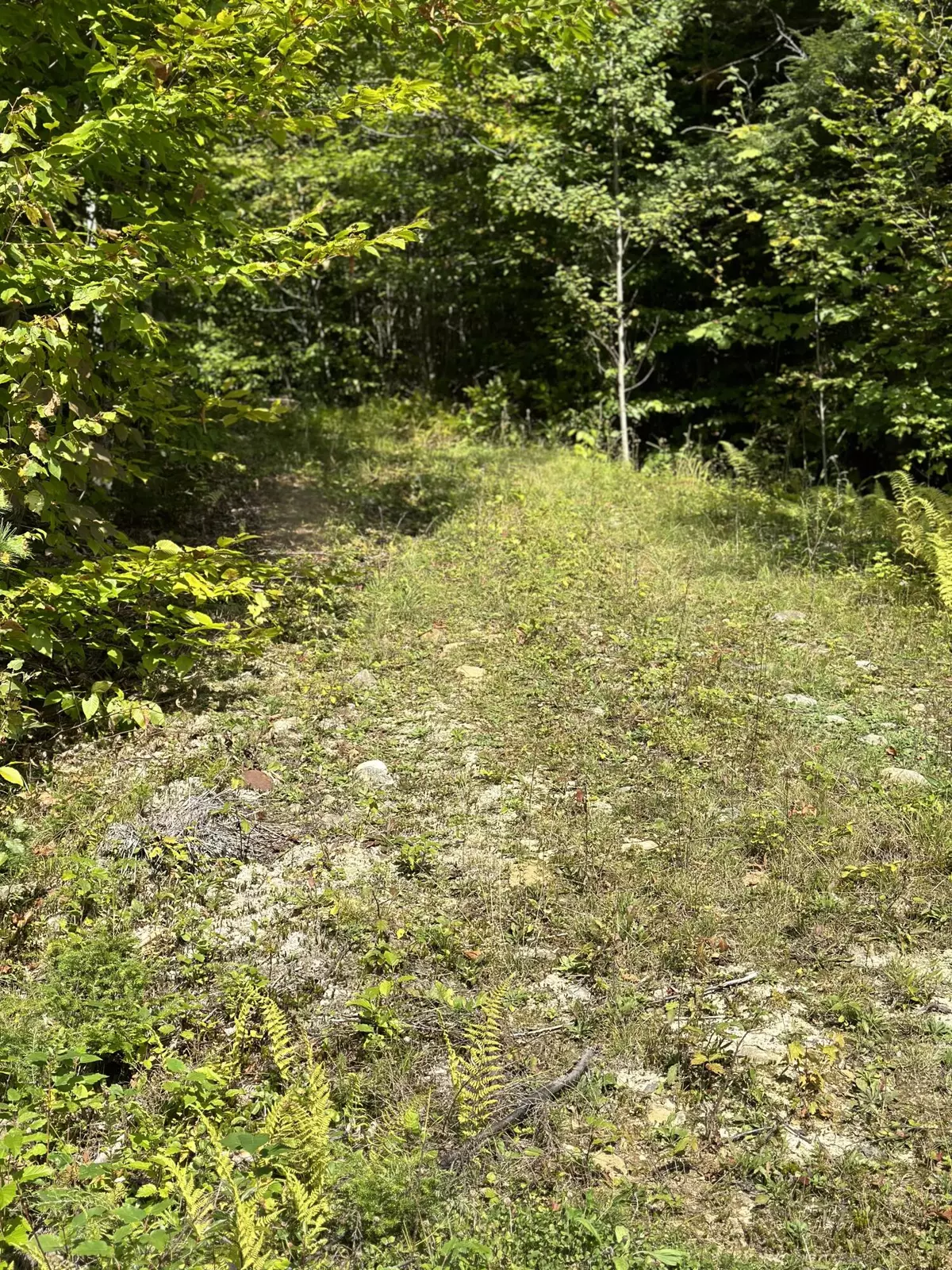 Gilead, ME 04217,TBD Lot 5 Mountain Vista RD
