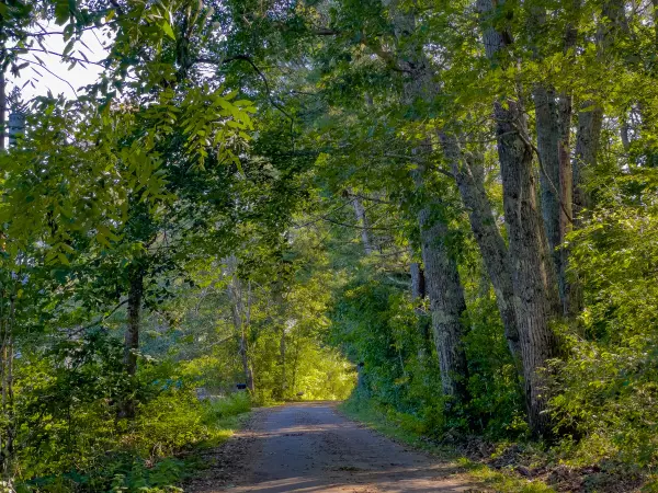 Newcastle, ME 04553,38 Chase Farm RD