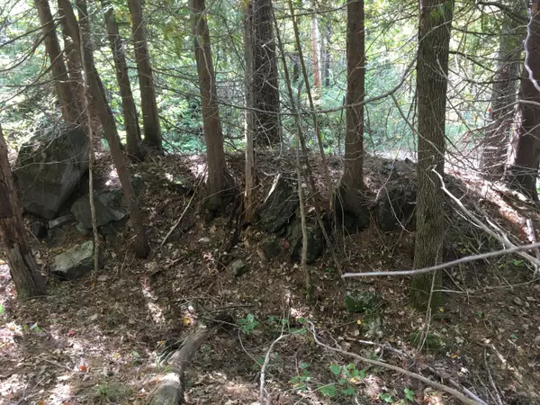 Harmony, ME 04942,19-X Streamview ST