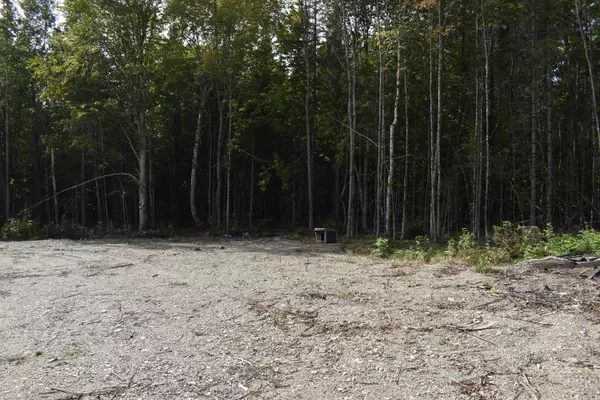 Springfield, ME 04487,TBD Moores RD