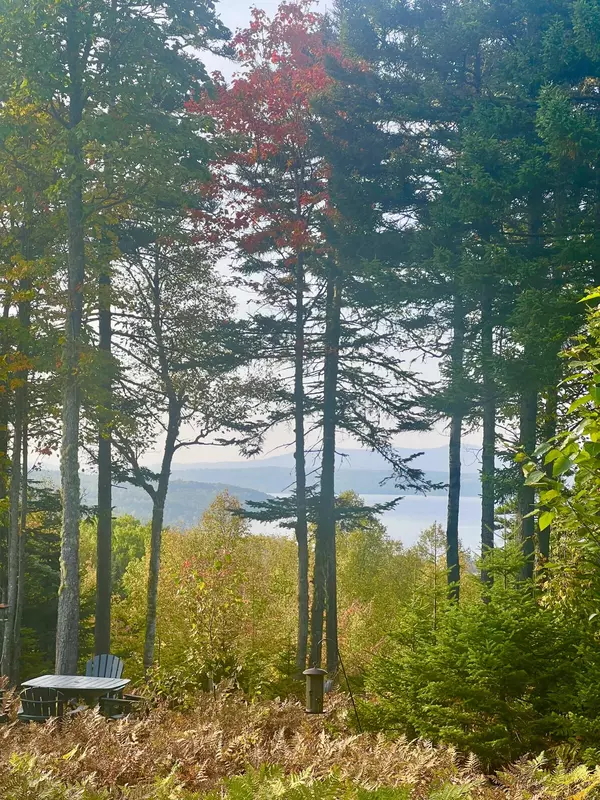 Sandy River Plt, ME 04970,13 Mill Brook RD