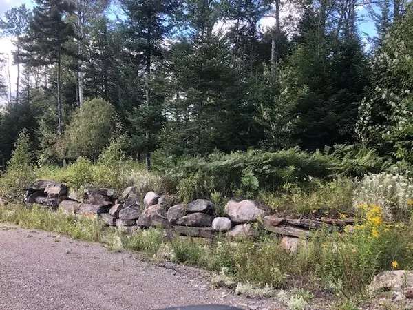 Sandy River Plt, ME 04970,13 Mill Brook RD