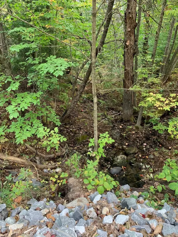 Naples, ME 04055,39 Horace Files RD