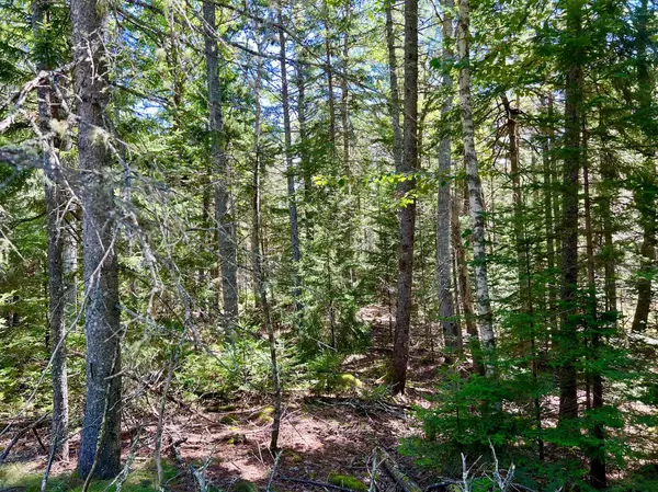 Mount Desert, ME 04660,188 Parker Farm RD