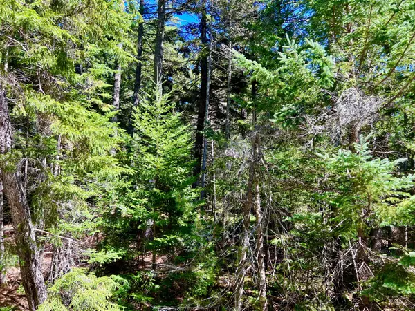 Mount Desert, ME 04660,188 Parker Farm RD