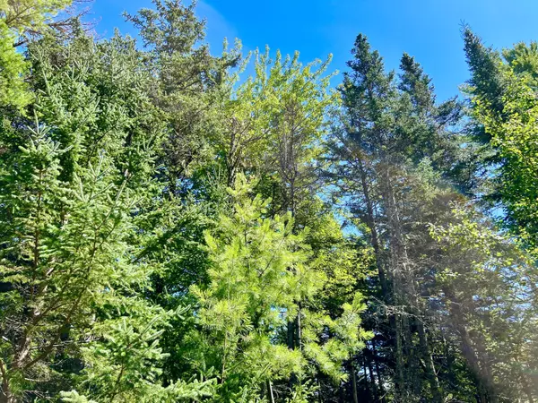 Mount Desert, ME 04660,188 Parker Farm RD