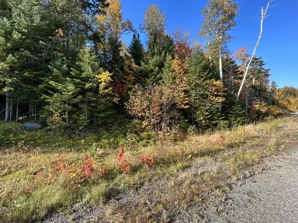 Rangeley, ME 04970,Lot 8 West Side DR