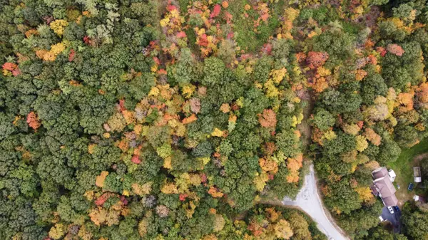 Turner, ME 04282,Lot 6 Forest Trail DR
