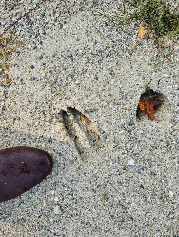 Lisbon, ME 04252,4 Stonewall DR