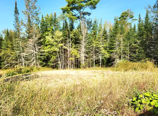 Lisbon, ME 04252,4 Stonewall DR