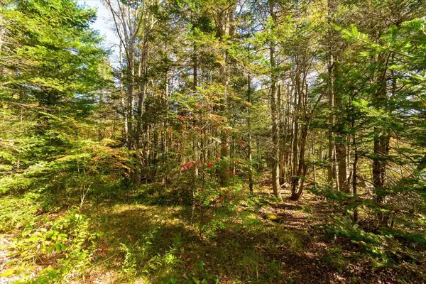 Friendship, ME 04547,Lot #08 Cushing RD