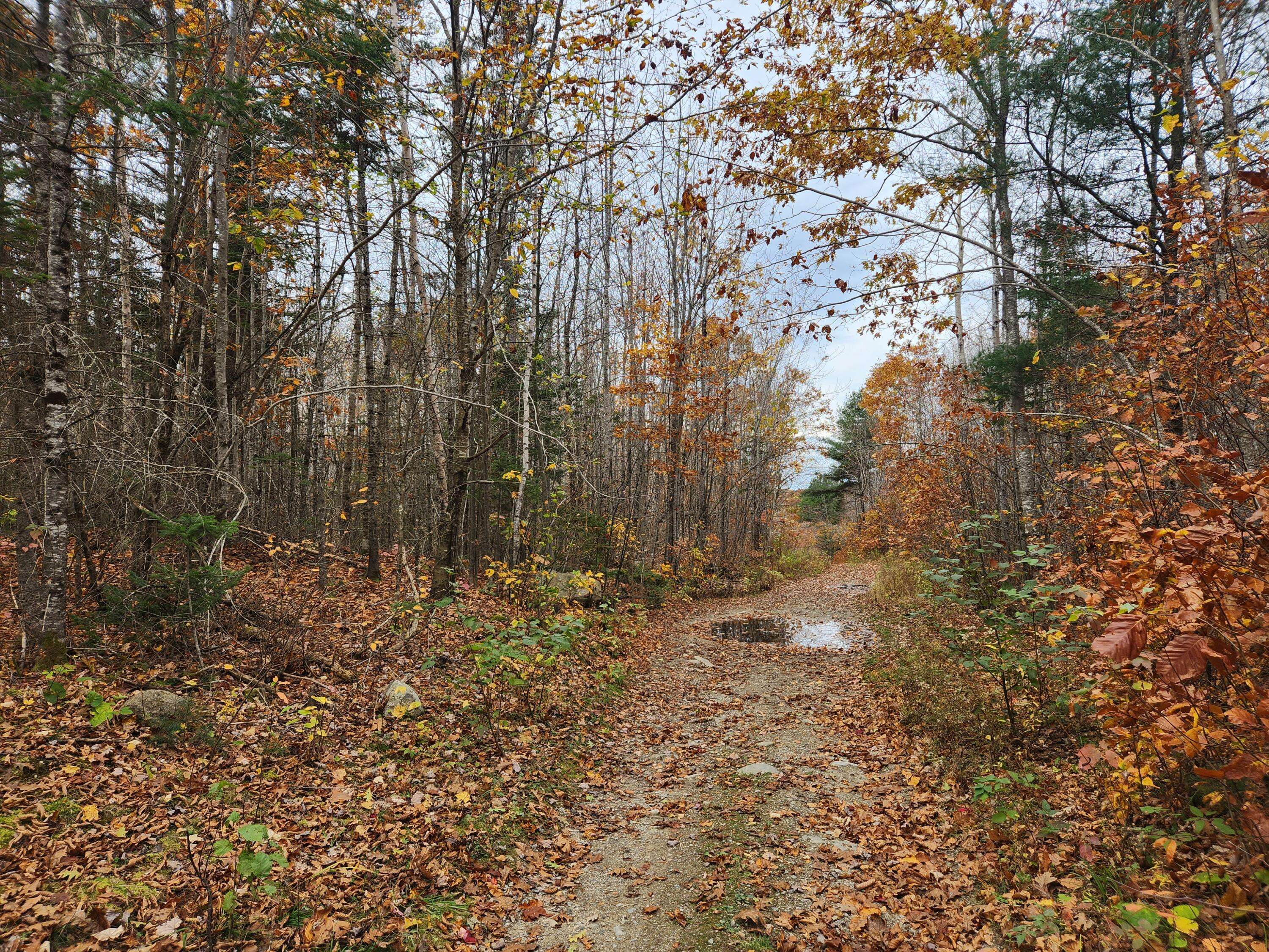 Frankfort, ME 04438,Lot#13-2B Tyler Lane LN
