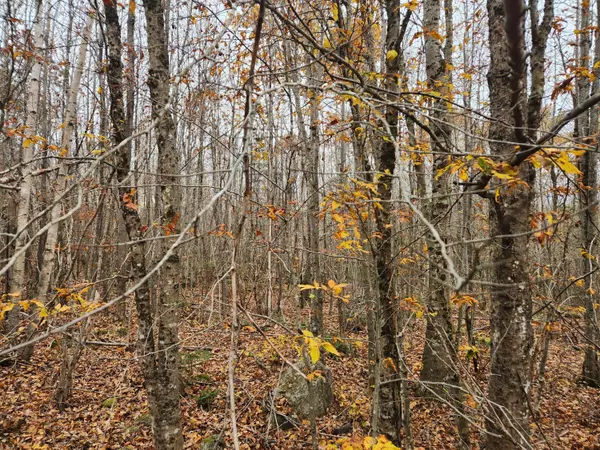 Frankfort, ME 04438,Lot#13-2B Tyler Lane LN