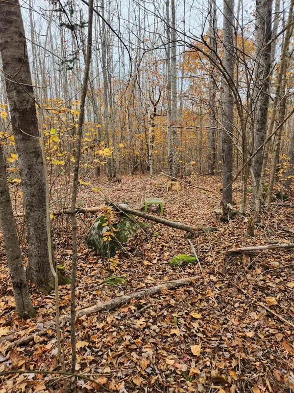 Frankfort, ME 04438,Lot#13-2B Tyler Lane LN