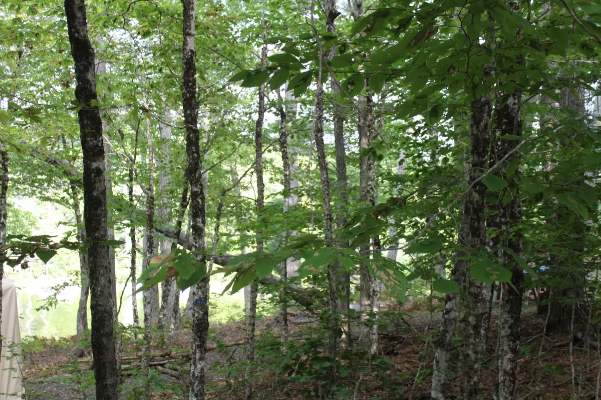 Orland, ME 04472,OO Randall LN