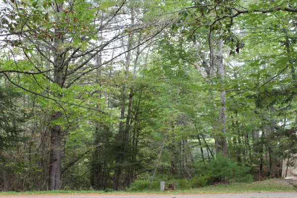 Orland, ME 04472,OO Randall LN