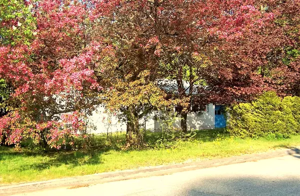 Rumford, ME 04276,437 Maple ST