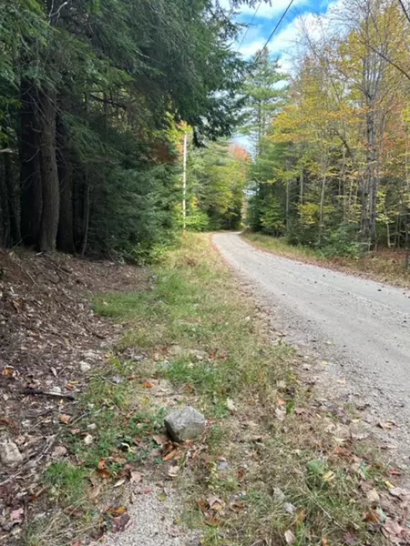 Lot 85 Thurston RD, Brownfield, ME 04010