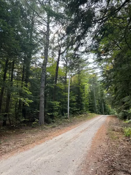 Lot 96 Thurston RD, Brownfield, ME 04010