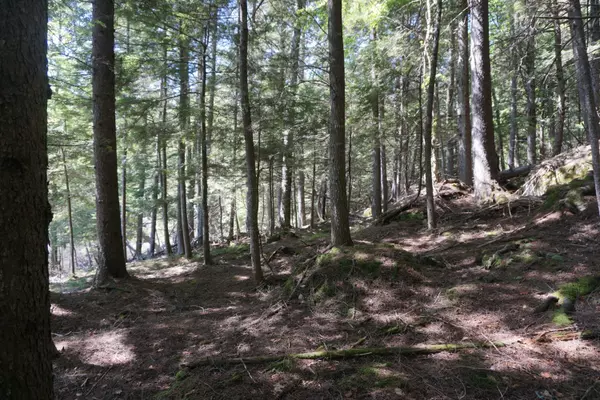 Beaver Cove, ME 04441,Lot 79/80 Black Point RD